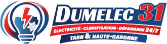DUMELEC 31